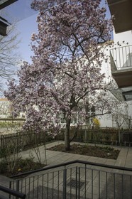 Haus Mobene - Hotel Garni