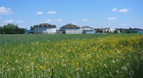 Paradies