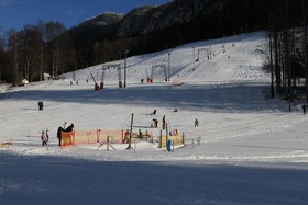 Narzissendorf Zloam