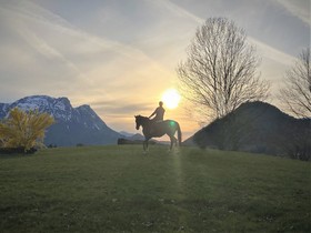 Narzissendorf Zloam