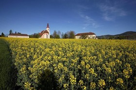Gasthof Pack