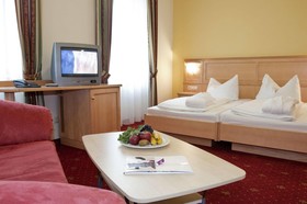 AKTIVHOTEL Weißer Hirsch