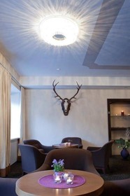 AKTIVHOTEL Weißer Hirsch