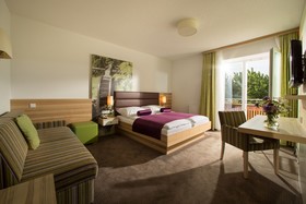 Hotel Paunger