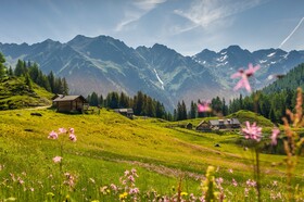 Bio Holzhaus & Landhaus Heimat