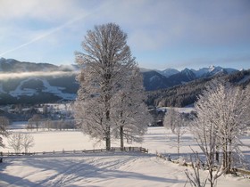 Dachsteinhof