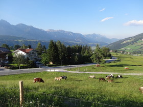 Haus Alpina