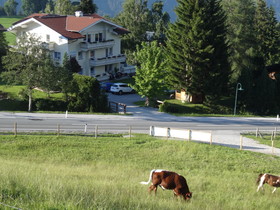 Haus Alpina