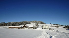 Narnhoferwirt