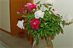 Pension Seirer