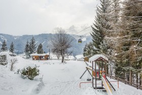 Alpine Club