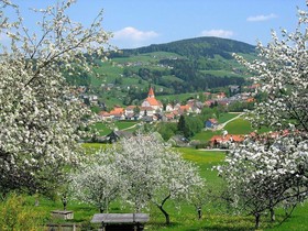 Der Trattner - Hotel Trattnerhof