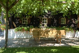 Weingut Primus