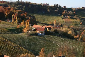 Weingut Primus