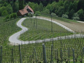 Weingut Primus