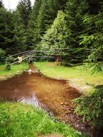 Grassegger Appartementhaus