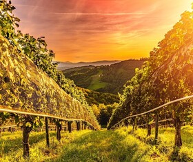 Boutique Hotel-Pension Zum Sausaler