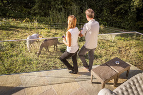 Golden Hill Country Chalets & Suites