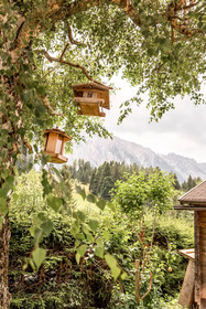 Der Seebacherhof