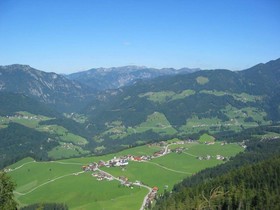 Neuwirt