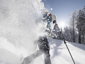 Hotel AVIVA make friends