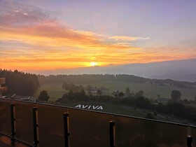 Hotel AVIVA make friends