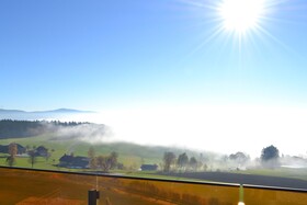 Hotel AVIVA make friends