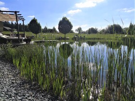 Hotel AVIVA make friends