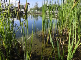 Hotel AVIVA make friends
