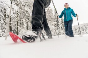 Hotel AVIVA make friends