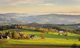 Hotel AVIVA make friends