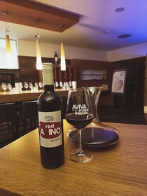 Hotel AVIVA make friends