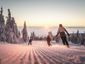 Hotel AVIVA make friends