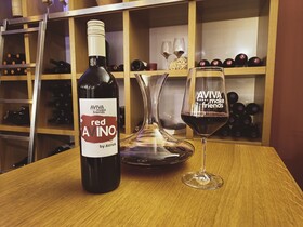 Hotel AVIVA make friends