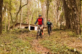 Hotel AVIVA make friends