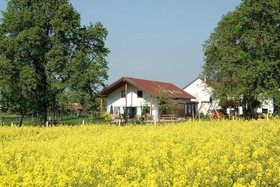 Bauernhof Sonnenblumenhof