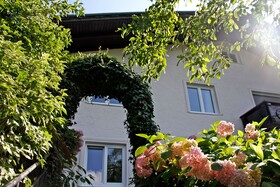 Pan Haus