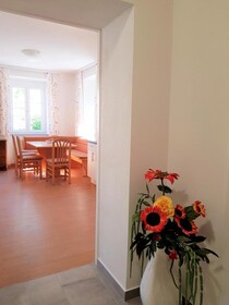 Villa Lilly Bad Ischl