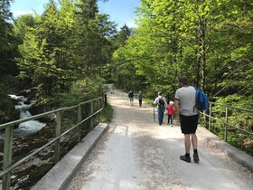 Wagnermoosgütl
