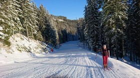 Chalet Edelweiss