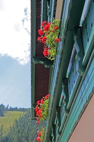 Mühlradl Apartments