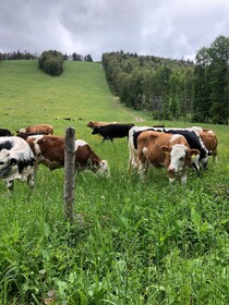 Hochberghaus Klausur- - Familienalm