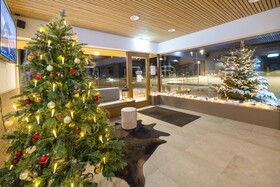 ALPRIMA Aparthotel Hinterstoder