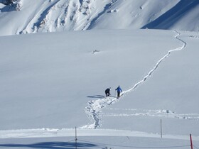 TRIFORÊT alpin.resort