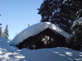 TRIFORÊT alpin.resort
