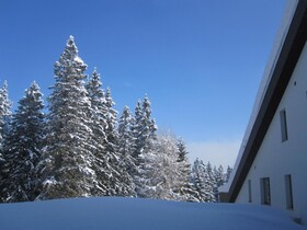 TRIFORÊT alpin.resort