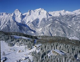 TRIFORÊT alpin.resort