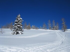 TRIFORÊT alpin.resort