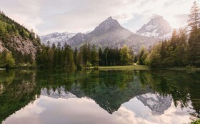TRIFORÊT alpin.resort