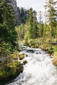 TRIFORÊT alpin.resort